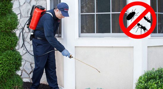 Düzce Hamam Böceği İlaçlama böcek ilaçlama ve haşere kontrolü — ilaclama-tr.com